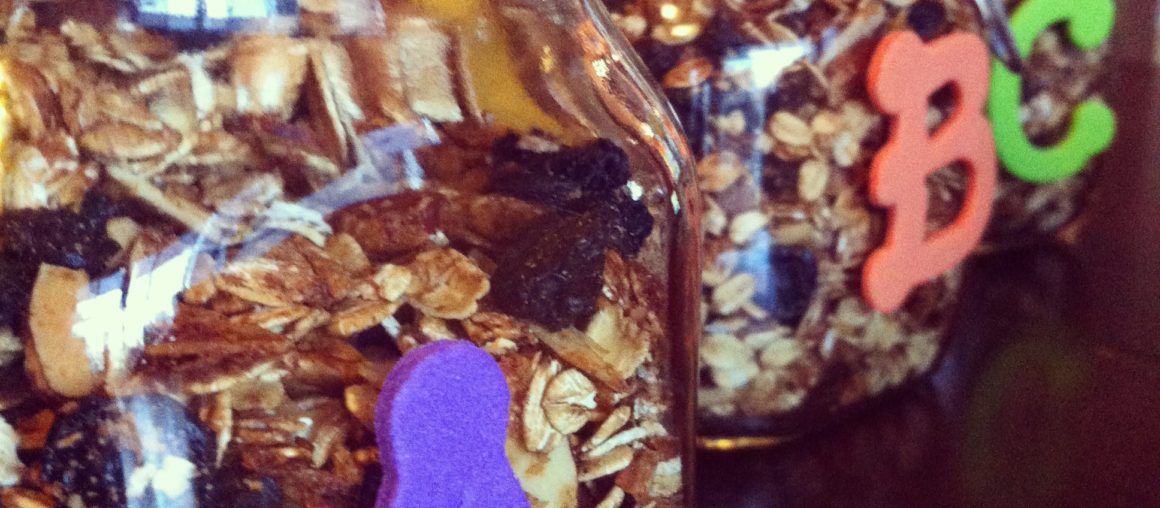 Homemade Blueberry Pie Granola