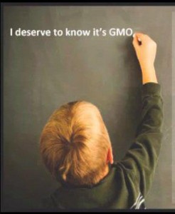 I deserve to know it's GMO