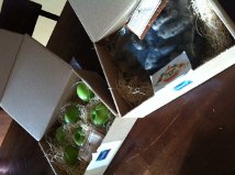 Flavors of Fall Cooking Contest: I'm all signed up!