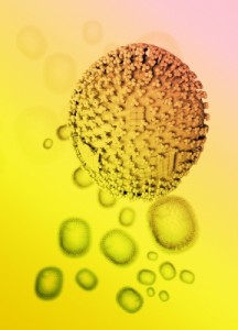 Flu Virus