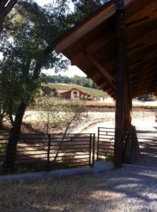 Just a peak at this beautiful 2000 acre vineyard