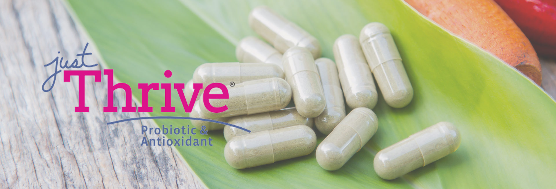 Healthy Jasmine Just Thrive