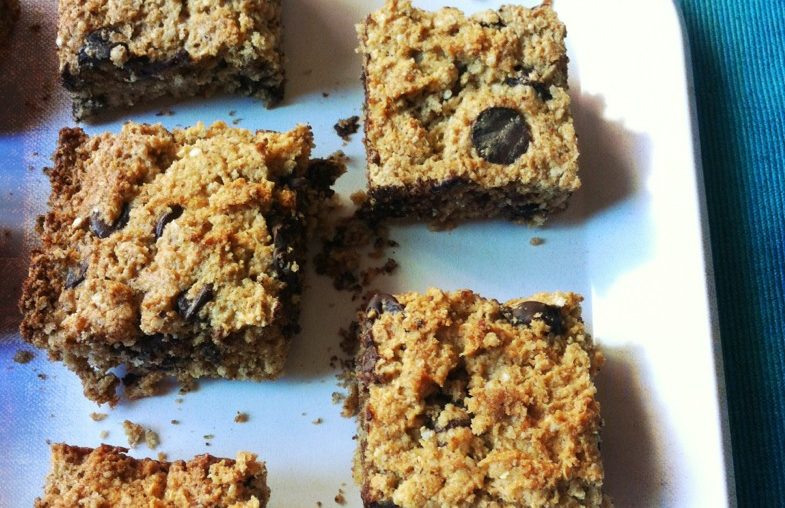 Coconut Chocolate Sunbutter Energy Bars